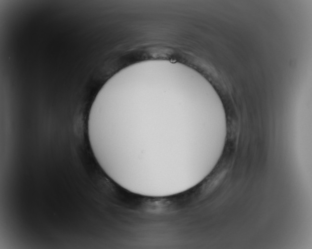 X0000087560321200705181129