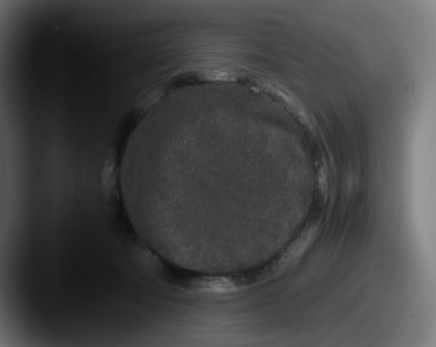 X0000087560322200705181129