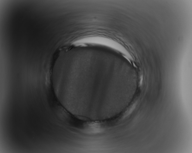 X0000087560325200705181129