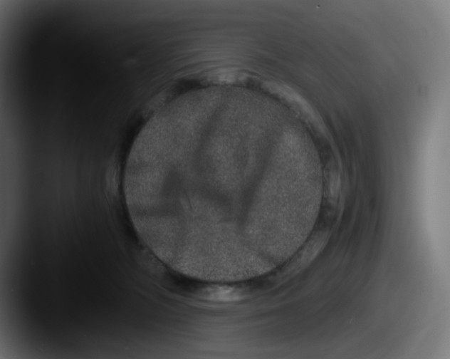 X0000087560326200705181129