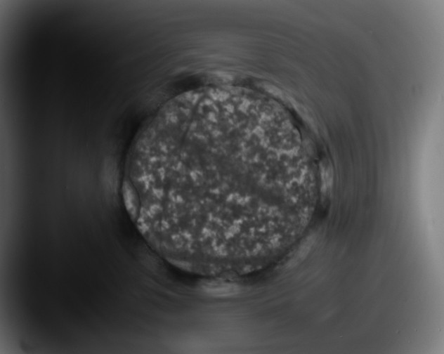 X0000087560331200705181129