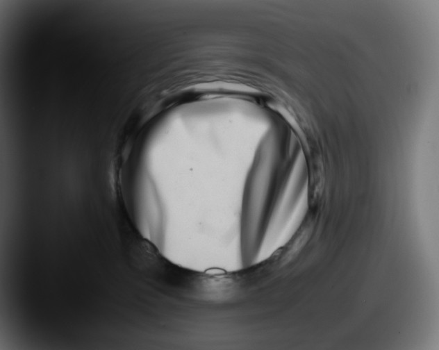 X0000087560333200705181129