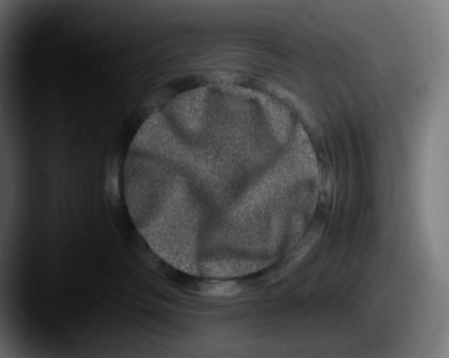 X0000087560334200705181129