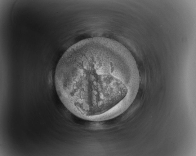 X0000087560335200705181129