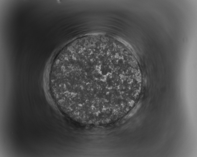 X0000087560337200705181128