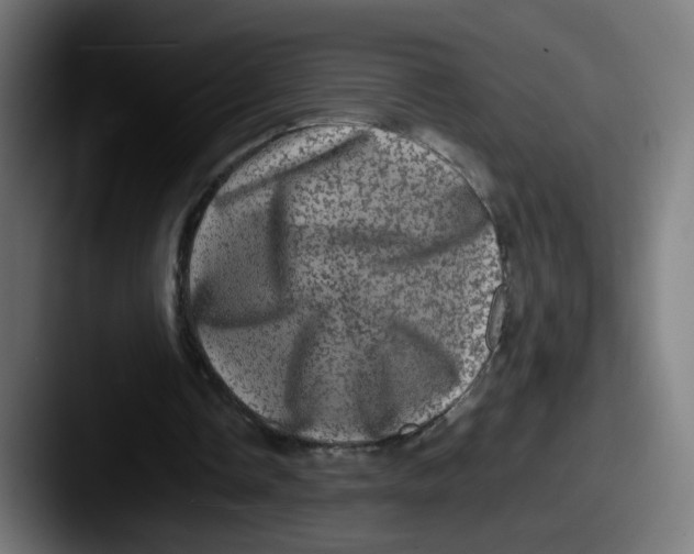 X0000087560338200705181128