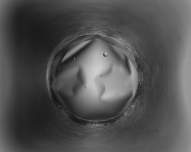 X0000087560340200705181128