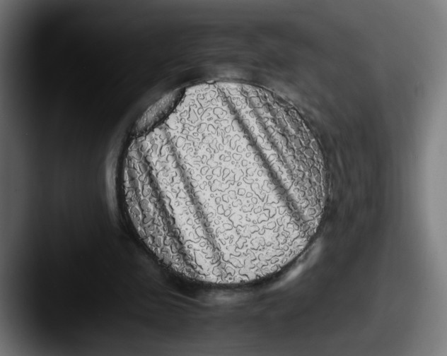 X0000087560341200705181129