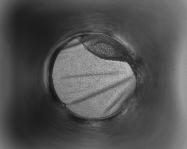 X0000087560343200705181129