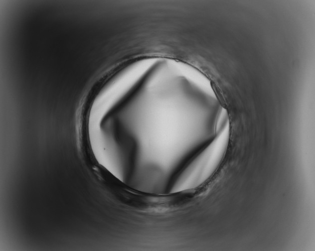 X0000087560344200705181129