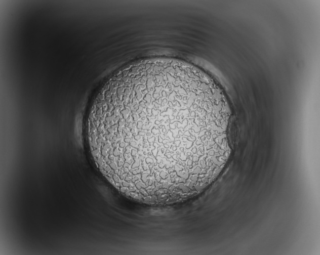 X0000087560345200705181129