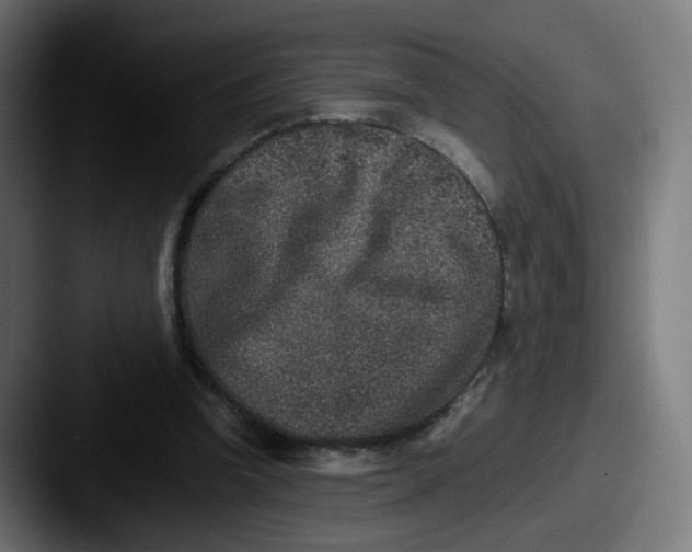 X0000087560346200705181129