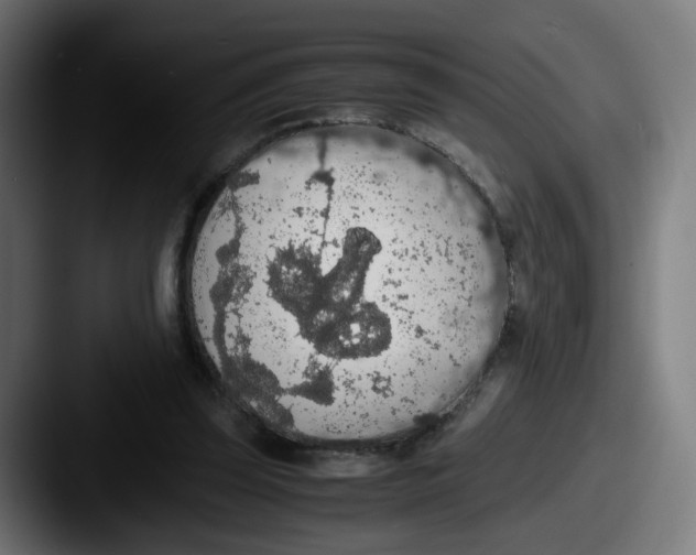 X0000087560347200705181129
