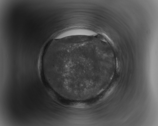 X0000087560348200705181129
