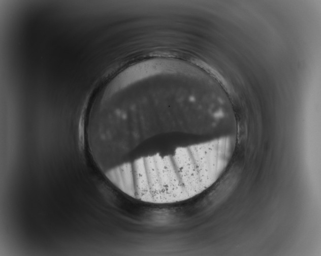X0000087560349200705181129