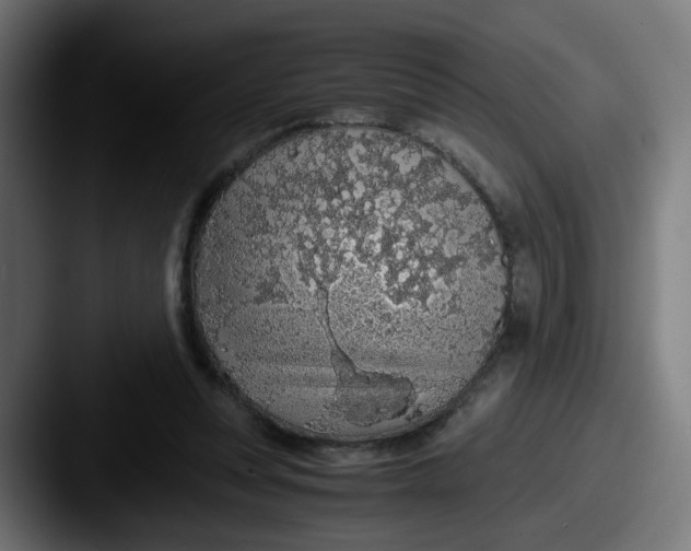 X0000087560351200705181129