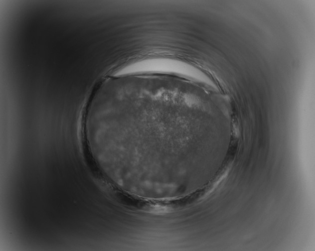 X0000087560352200705181129