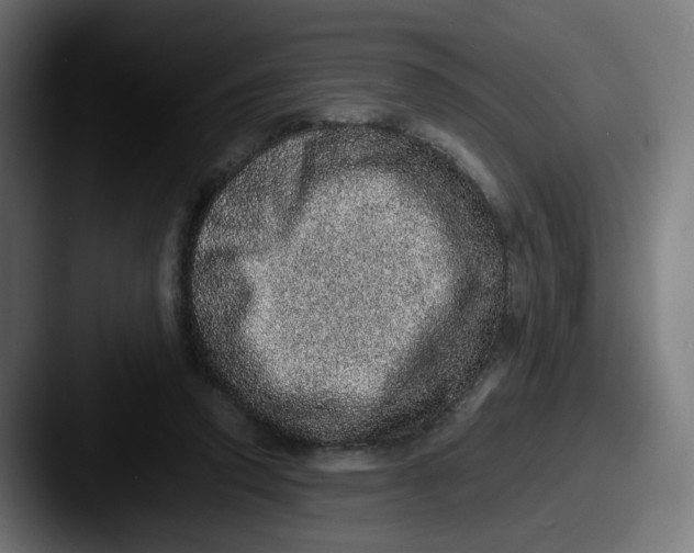X0000087560354200705181129
