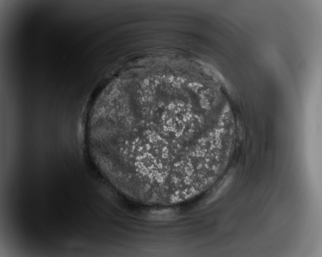 X0000087560357200705181129