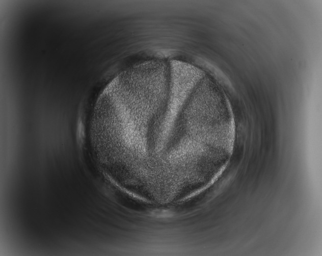 X0000087560358200705181129