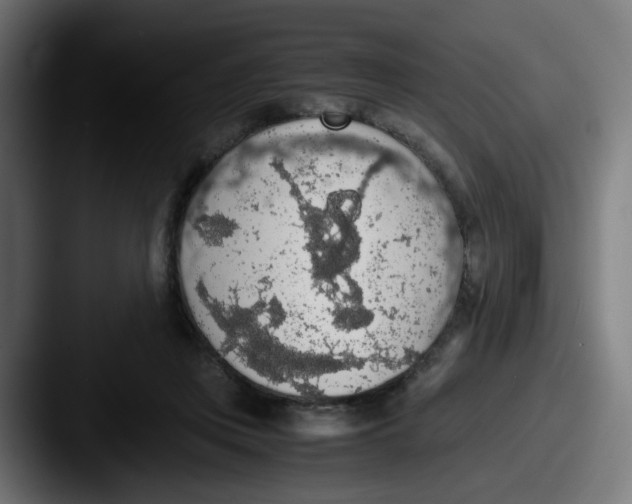 X0000087560359200705181129