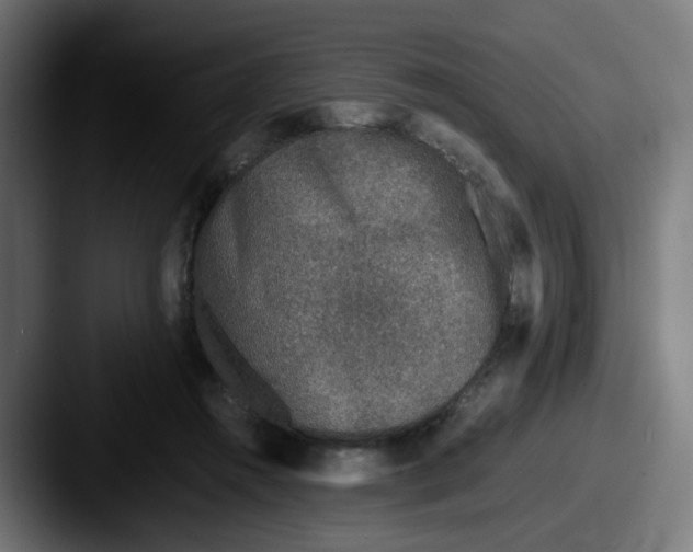 X0000087560360200705181129