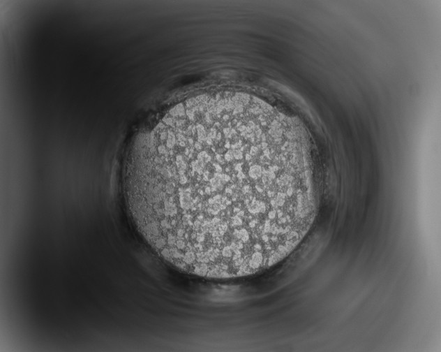 X0000087560361200705181129