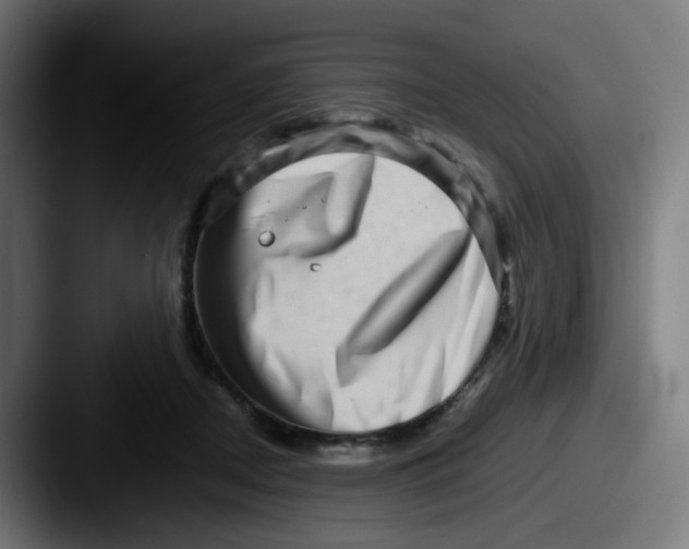 X0000087560362200705181129