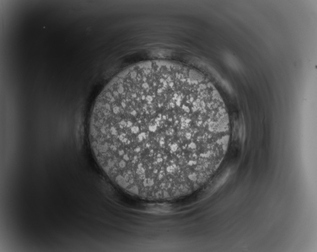X0000087560363200705181129