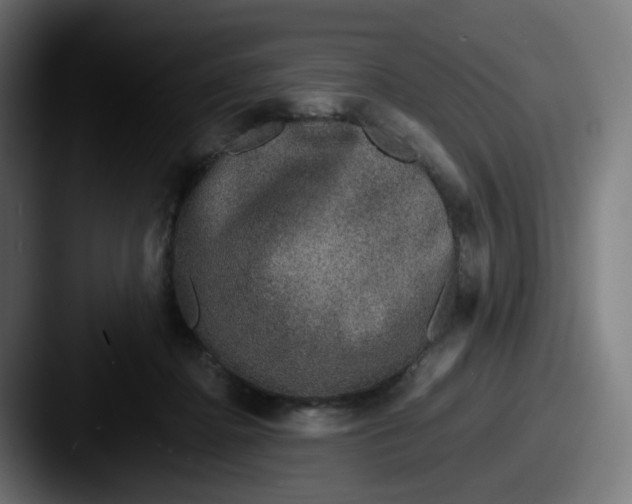X0000087560364200705181129