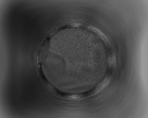 X0000087560365200705181129
