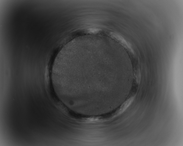 X0000087560366200705181129