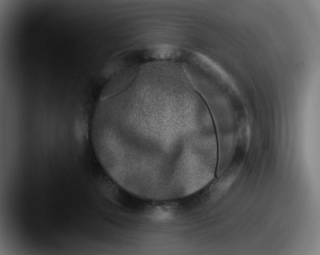 X0000087560368200705181129