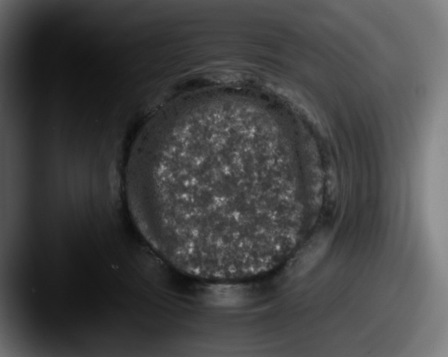 X0000087560371200705181129