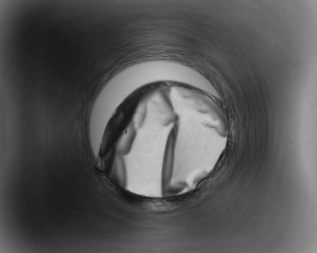 X0000087560372200705181129