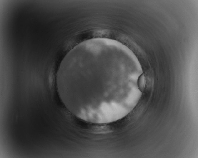 X0000087560375200705181129