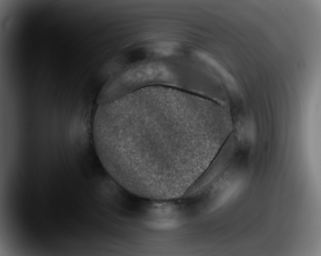 X0000087560376200705181129