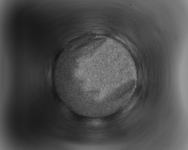 X0000087560377200705181129