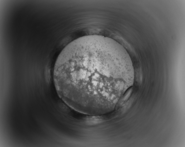 X0000087560378200705181129
