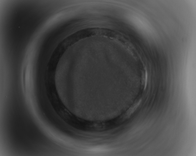 X0000087560383200705181129
