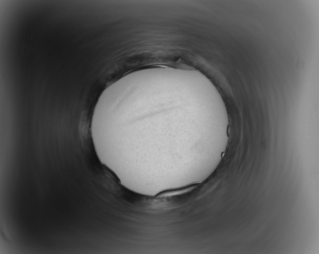 X0000087560384200705181129