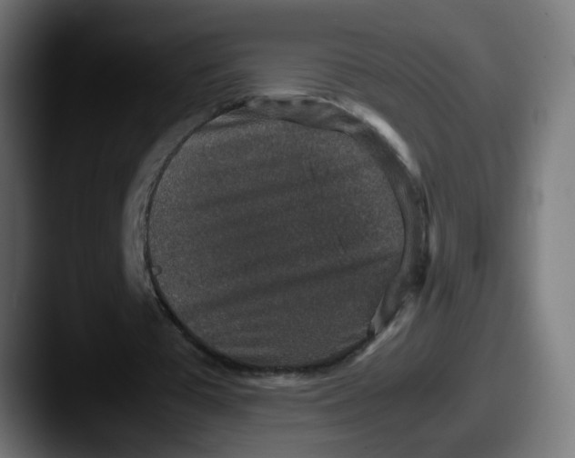 X0000087560385200705181128