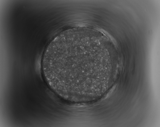 X0000087560386200705181128