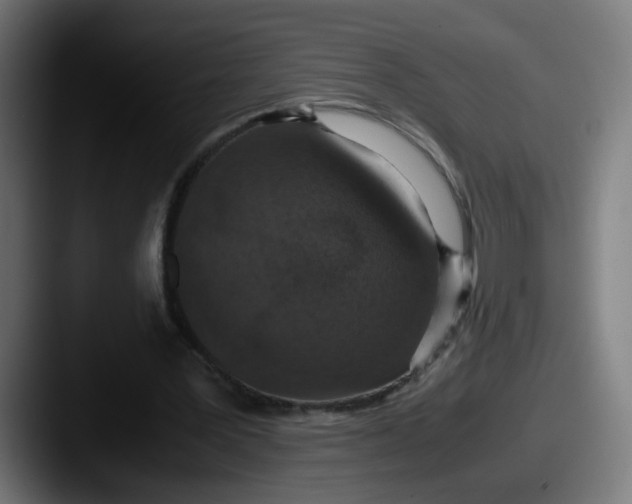 X0000087560387200705181128