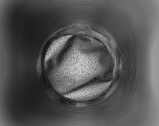 X0000087560388200705181128