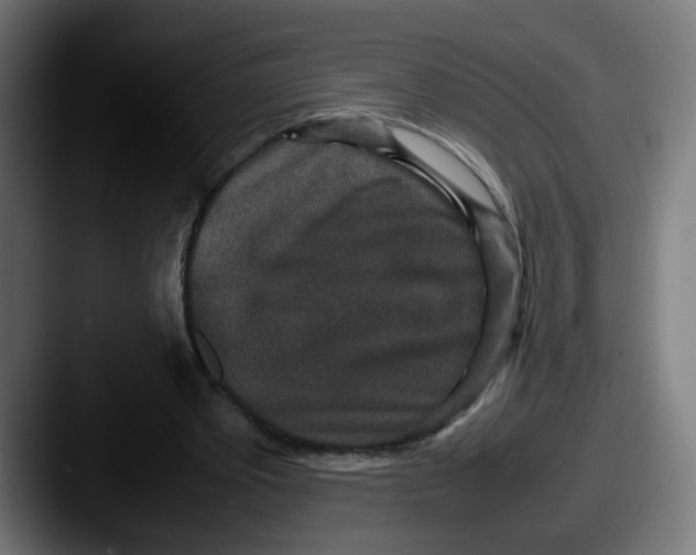 X0000087560389200705181128