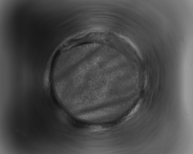X0000087560392200705181128