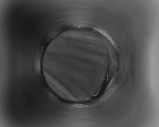 X0000087560393200705181128