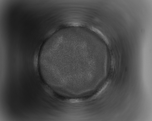 X0000087560394200705181128