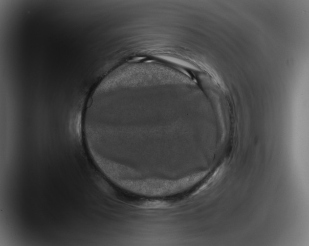 X0000087560397200705181128